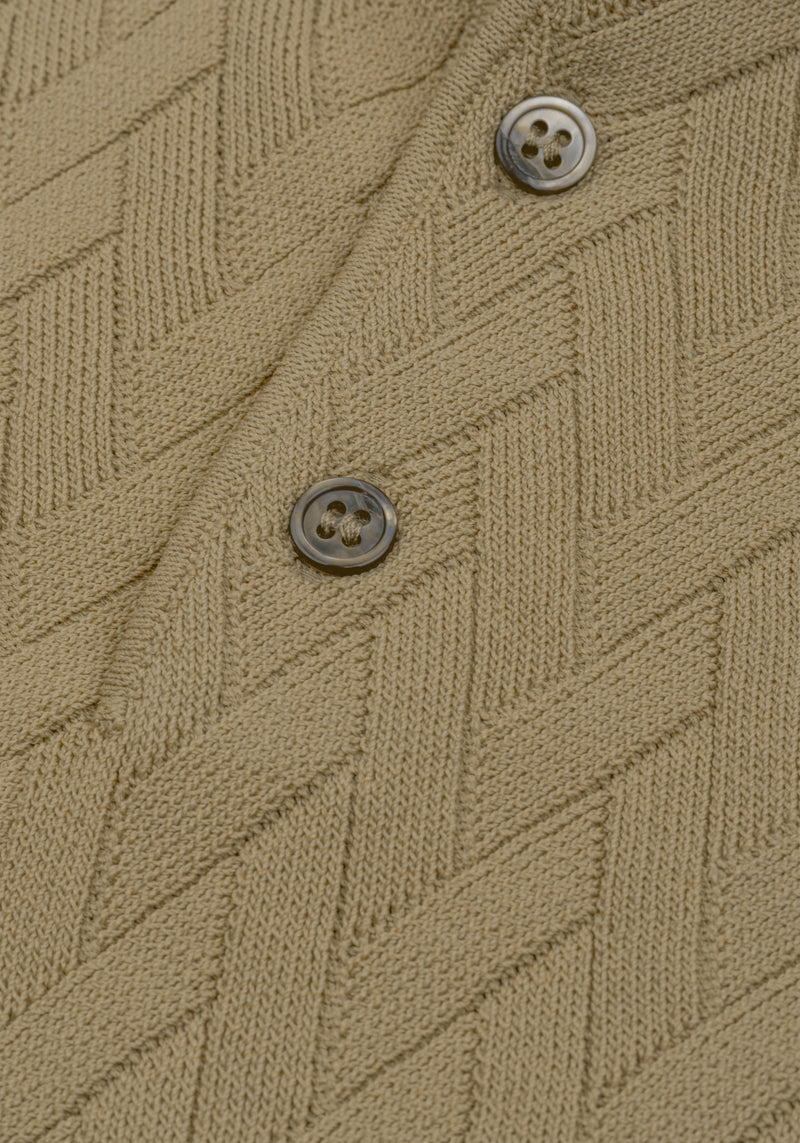 Cafe Beige Polyamide Knitted Polo Shirt