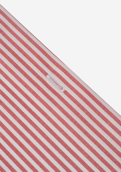 Burnt Red Stripe Two-Ply Oxford Shirt