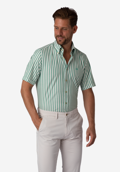 Cactus Green Stripe Two-Ply Oxford Shirt - Short Sleeve