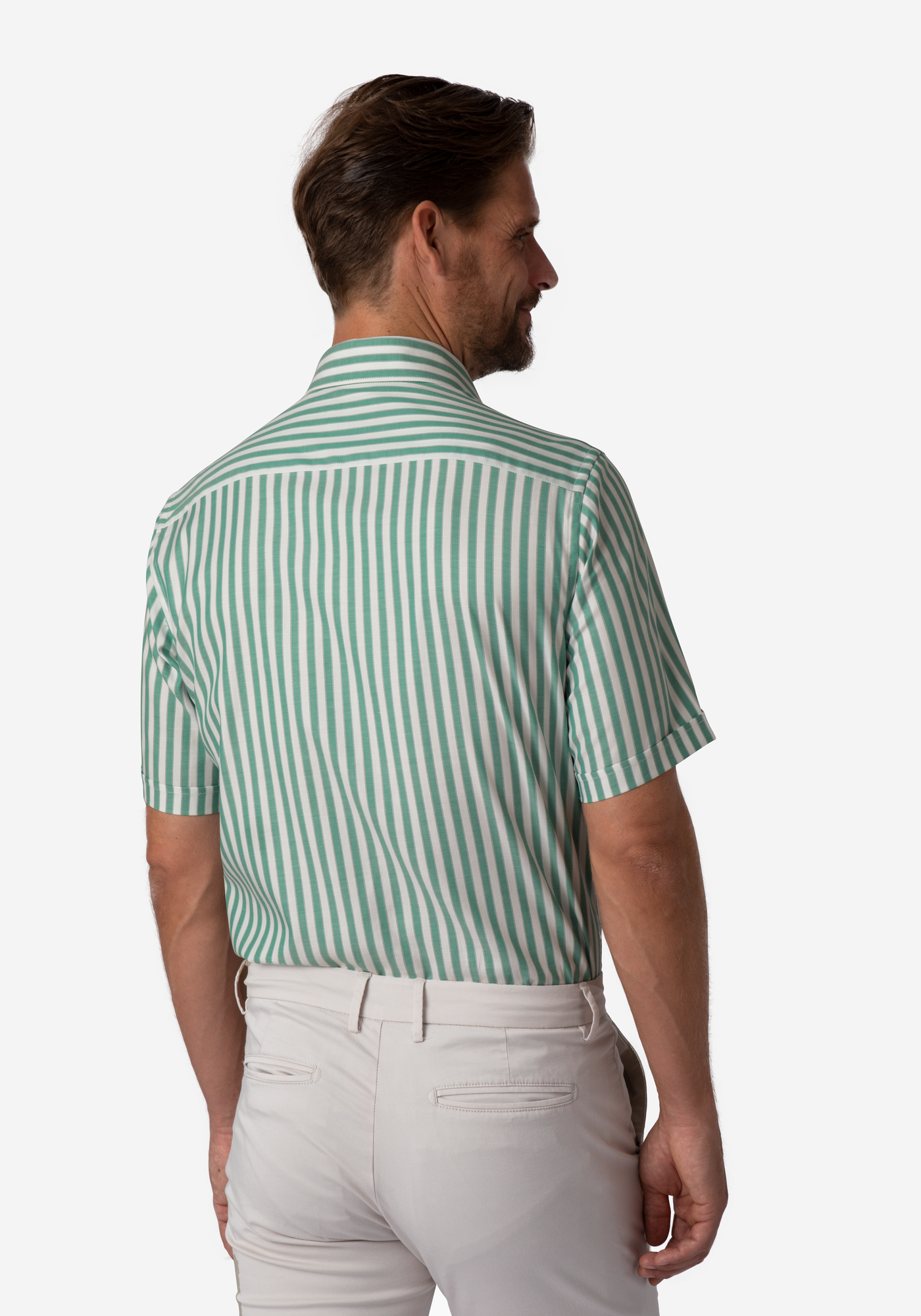 Cactus Green Stripe Two-Ply Oxford Shirt - Short Sleeve