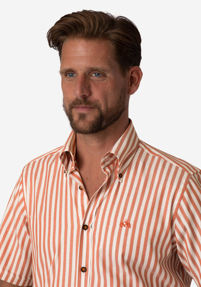 Solar Orange Stripe Two-Ply Oxford Shirt - Short Sleeve