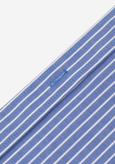 Polar Blue Stripe Washed Two-Ply Oxford Shirt