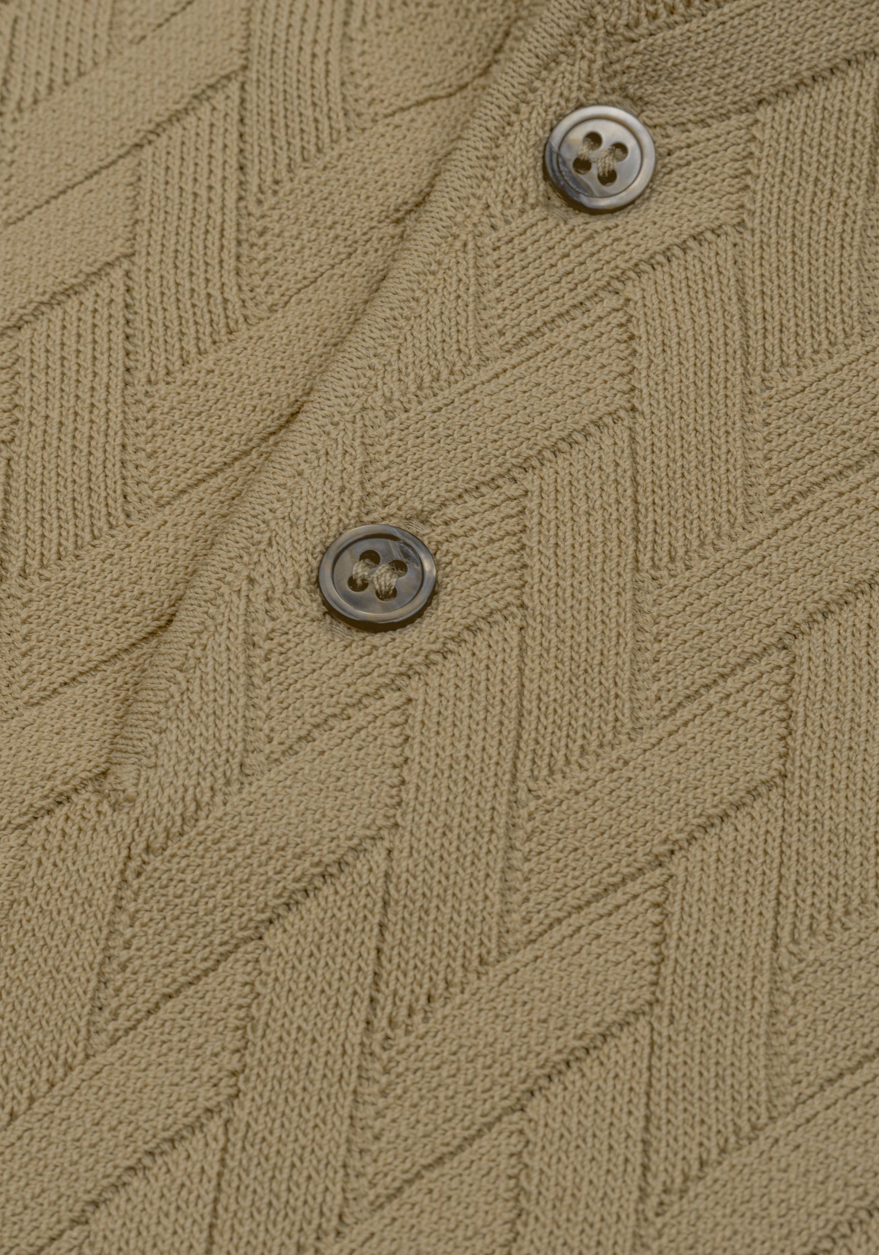 Cafe Beige Polyamide Knitted Polo Shirt