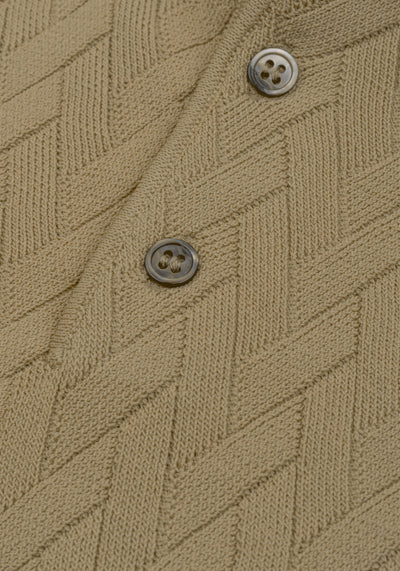 Café Beige Polyamide Knitted Polo Shirt