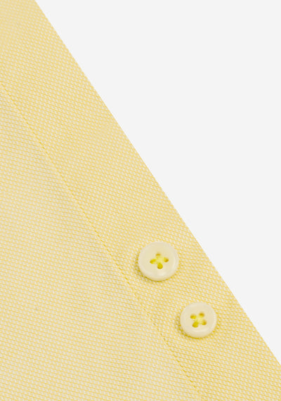 Pastel Yellow Washed Oxford Shirt