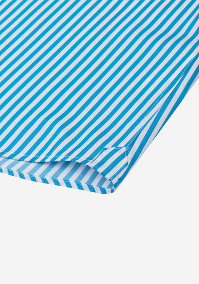 Capri Blue Stripe Signature Twill Shirt
