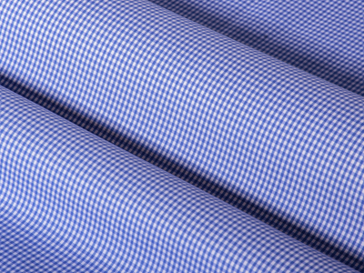 Blue Checked Cotton Lycra Shirt