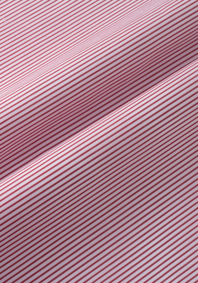 Barn Red Stripe Poplin Shirt