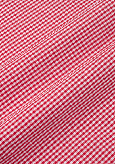 Imperial Red Checked Poplin Shirt